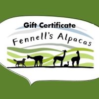 Gift Cert Image